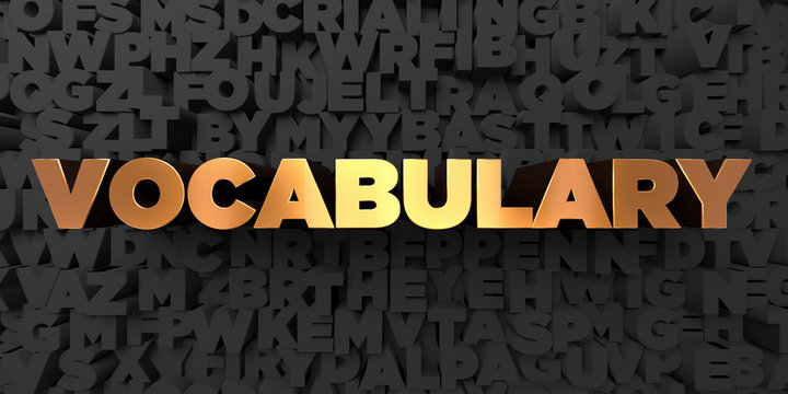 VOCABULARY ACQUISTION II
